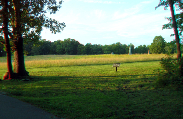 The Wheatfield